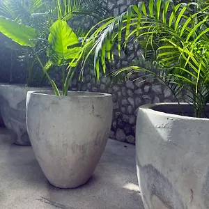 https://bau-tulum.tulum-hotels.net